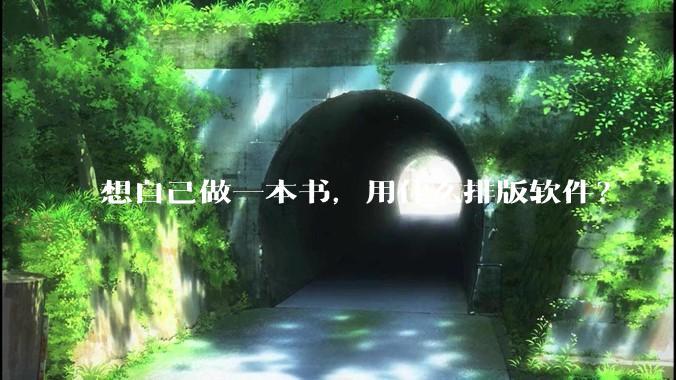 想自己做一本书，用什么排版软件？
